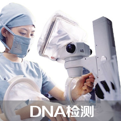 香港孕七周Y-DNA检测